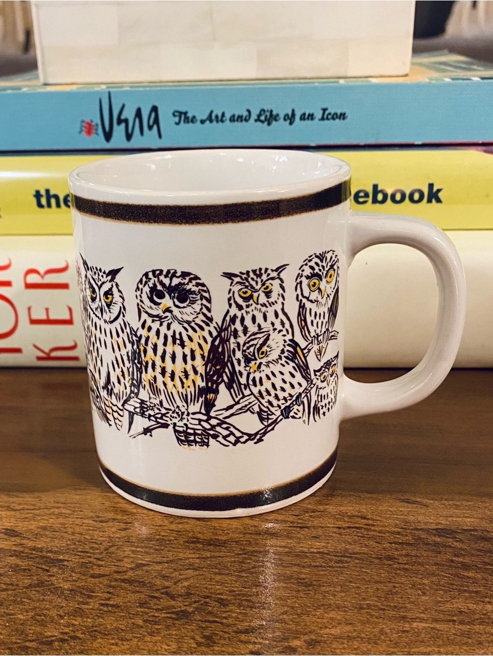 VTG 1970s Otagiri Ceramic Mug w Brown & Yellow Illustrated Owls Made in Japan